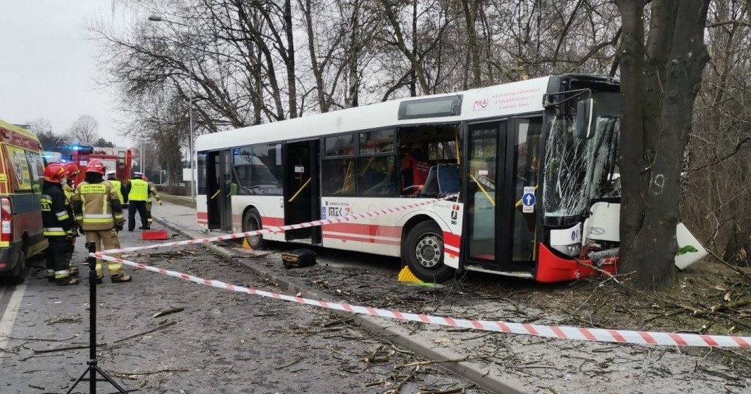 Autobus miejski wbił się w drzewo w Jastrzębiu Zdroju /Policja