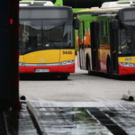 Autobusy Arrivy od soboty wracają na ulice Warszawy