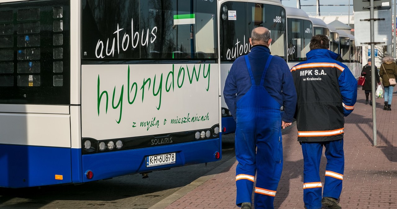 Autobusy hybrydowe Solarisa w innych miastach nie sprawiają problemów /Anna Kaczmarz /East News