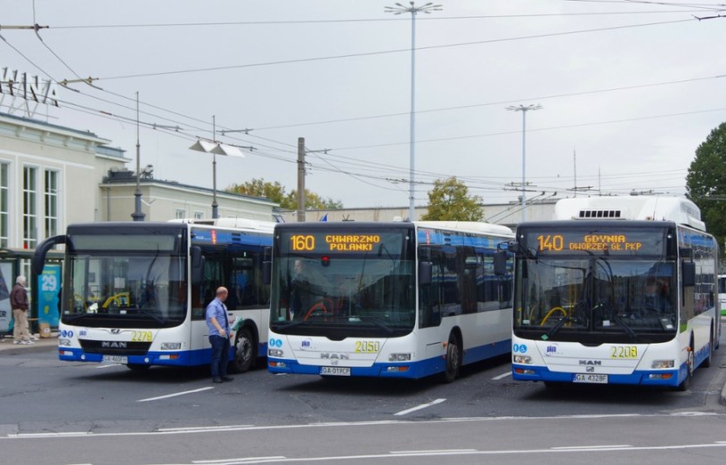 Autobusy komunikacji miejskiej w Gdyni /Marek Bazak /East News