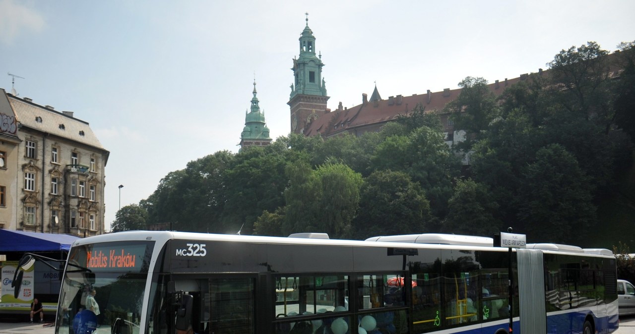 Autobusy Mobilisa jeżdżą m.in. po Krakowie. Dla laika nie różnią się od tych należących do MPK /Marek Lasyk  /Reporter