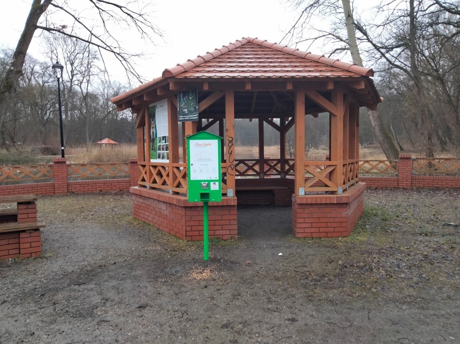 Automaty z karmą dla ptaków mają też pełnić funkcję edukacyjną. /Sylwia Turkiewicz /