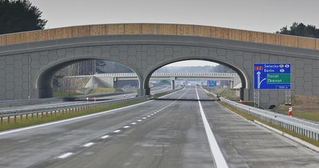 Autostrada A-2 w okolicach miejscowości Trzciel /PAP