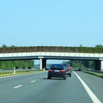 Autostrada A2 będzie miała trzeci pas między Łodzią a Warszawą