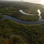Autostrada przez Puszczę Amazońską? Brazylia przyjęła projekt