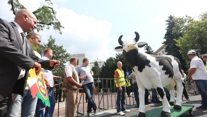 Awantura o ubój rytualny. Część posłów PO chce głosować przeciwko rządowej ustawie