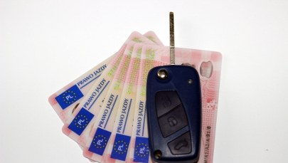 Awaria serwera. W Krakowie problemy z rejestracją pojazdów i wydawaniem praw jazdy