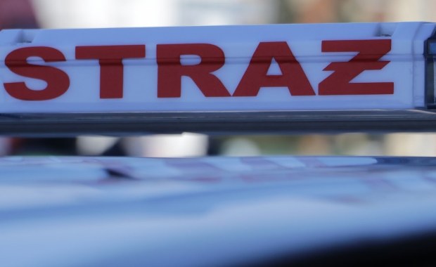 Awaria wodociągu w Gdyni. Zalana ulica w centrum