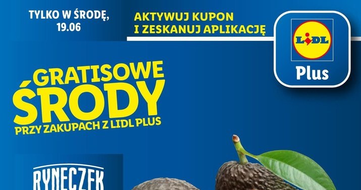 Awokado 1+1 gratis w Lidlu! /Lidl /INTERIA.PL