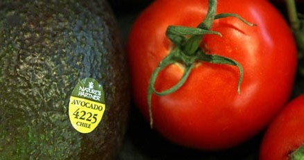 Awokado - dla serca , pomidory - przeciwko rakowi /AFP