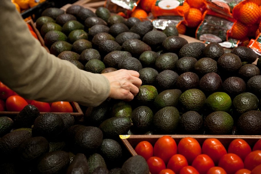 Awokado, nazywane też „zielonym złotem”, to owoc pochodzący z Ameryki Środkowej i Południowej /Shutterstock