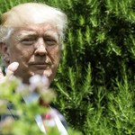 Axios Media: Donald Trump zamierza wycofać się z porozumienia klimatycznego z Paryża