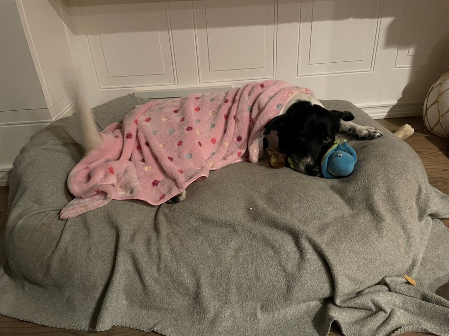 Ayla /Blanka Baranowska /RMF FM