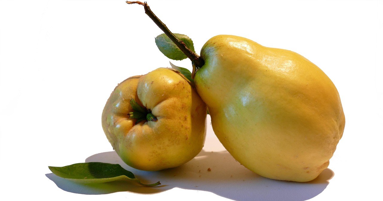 Айва - чудова альтернатива лимону. Додайте шматочки в чай, щоб зробити напій більш ароматним та корисним /pixabay.com