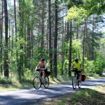 Aż 125 km wśród lasów. To będzie jedna z najpiękniejszych tras w Polsce