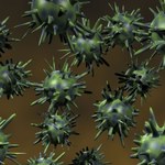 Aż 320 000 nowych wirusów może zagrażać człowiekowi