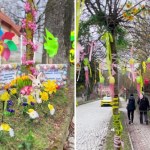 "Aż pisnęłam z zachwytu". Aleja Wielkanocna jest hitem tego miasta