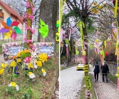 "Aż pisnęłam z zachwytu". Aleja Wielkanocna jest hitem tego miasta