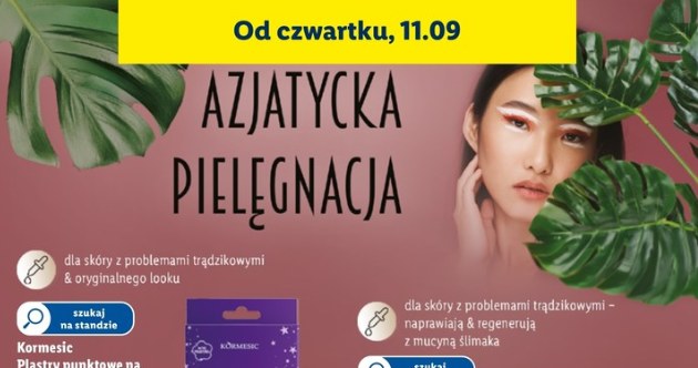 Azjatycka pielęgnacja w Lidlu /Lidl /INTERIA.PL