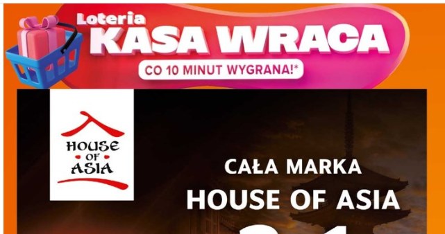 Azjatycka rewolucja w Twojej kuchni! /Carrefour Polska /INTERIA.PL
