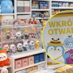 Azjatycki styl "kawaii" w Polsce. XIMI-V debiutuje z gadżetami w Warszawie