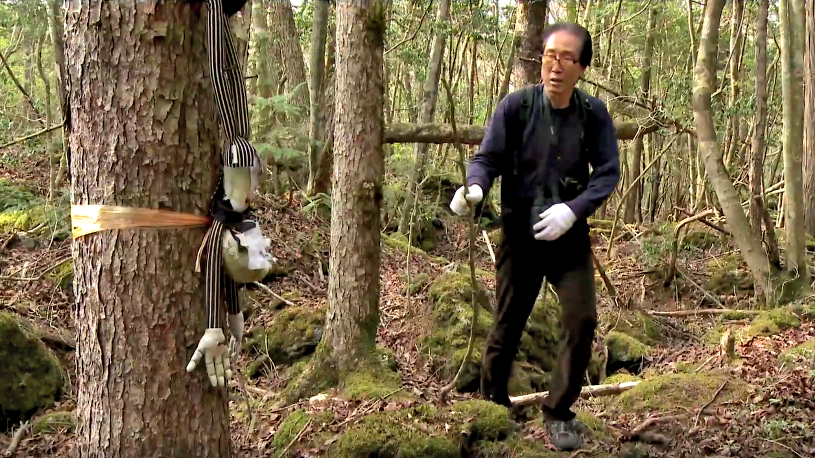 Azusa Hayano od lat próbuje odżegnać przybywających do Aokigahary samobójców od odebrania sobie życia /YouTube