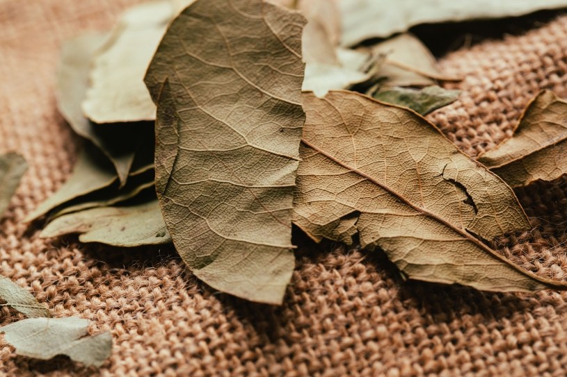 Babcia wkładała je pod wycieraczkę. Po latach zdradziła powód