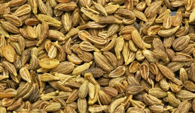 Babcie dodawały go do herbaty. Pomaga, gdy dopada nas przeziębienie 