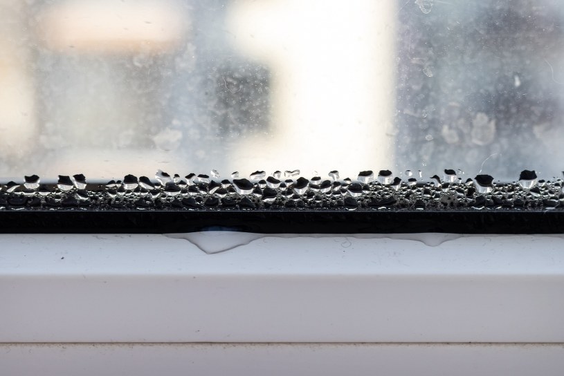 Babciny sposób na wilgoć w mieszkaniu. Połóż na parapecie kilka ziarenek 