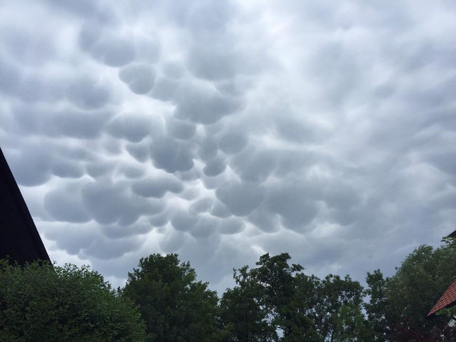"Bąbelkowe" chmury, czyli mammatusy /Maksymilian Cekała /Gorąca Linia RMF FM