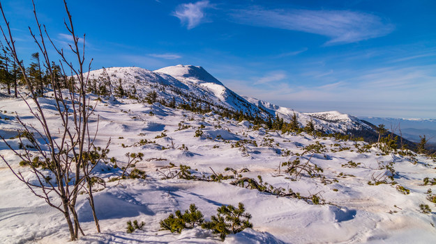 Babia Góra w Beskidach /Shutterstock