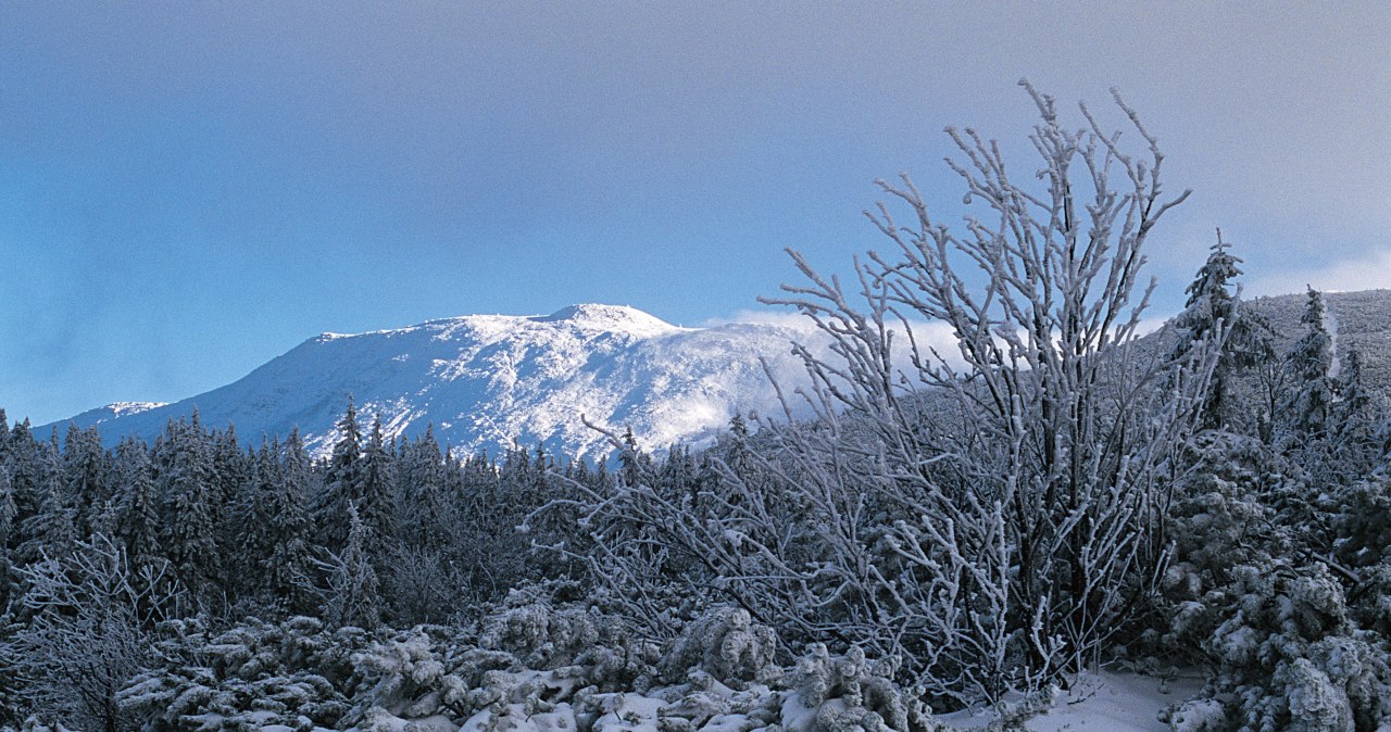 Babia Góra, zdj. ilustracyjne /Pawel Szadkowski /Agencja FORUM