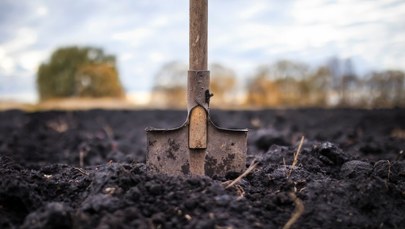 Babka zakopała żywego noworodka koło kurnika, matka stała na czatach. Jest wyrok