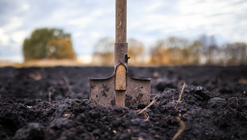 Babka zakopała żywego noworodka koło kurnika, matka stała na czatach. Jest wyrok