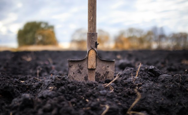 Babka zakopała żywego noworodka koło kurnika, matka stała na czatach. Jest wyrok