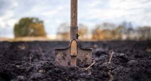 Babka zakopała żywego noworodka koło kurnika, matka stała na czatach. Jest wyrok