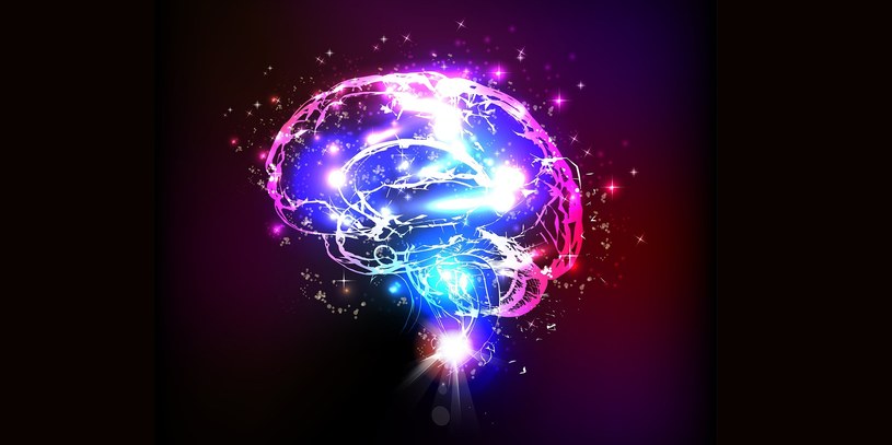 Badacze uchwycili niezwykłą aktywność mózgu w momencie śmierci /Ermal Tahiri /Pixabay.com