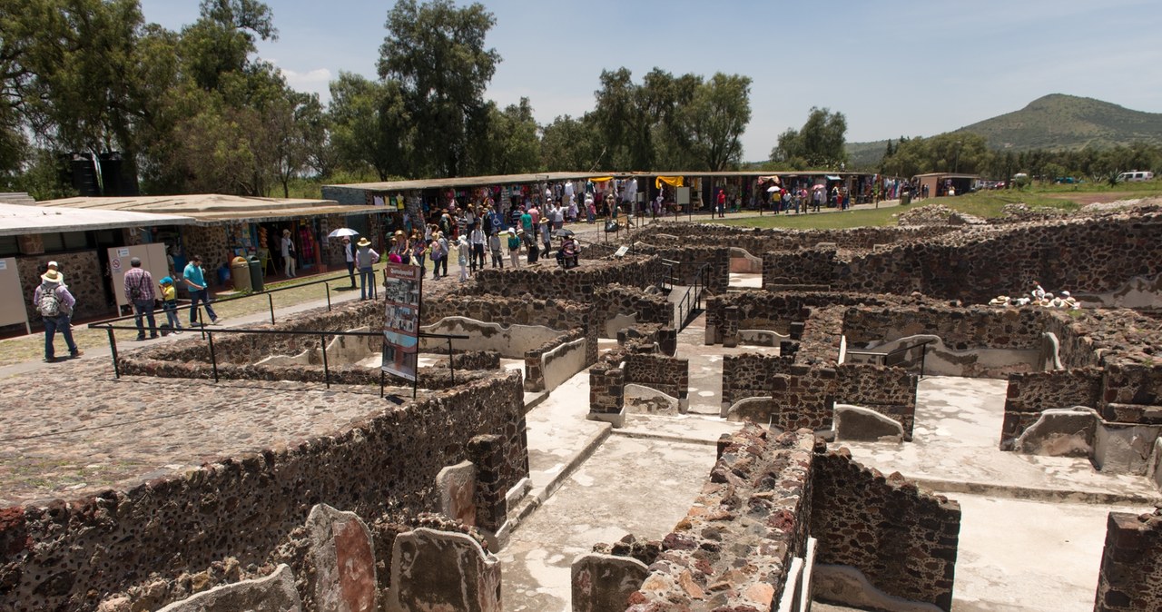 Badania archeologiczne na terenie Teotihuacán pozwalają odkryć zaskakujące zwyczaje dawnych mieszkańców miasta. /Ralf Roletschek/Wikimedia Commons /Domena publiczna