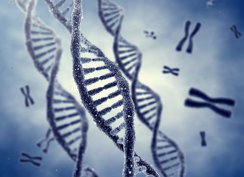 Badania DNA mogą pomóc w dobraniu diety /123RF/PICSEL