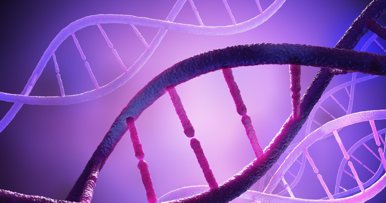 Badania DNA pozwalają nam lepiej poznać przeszłość /vchalup /123RF/PICSEL