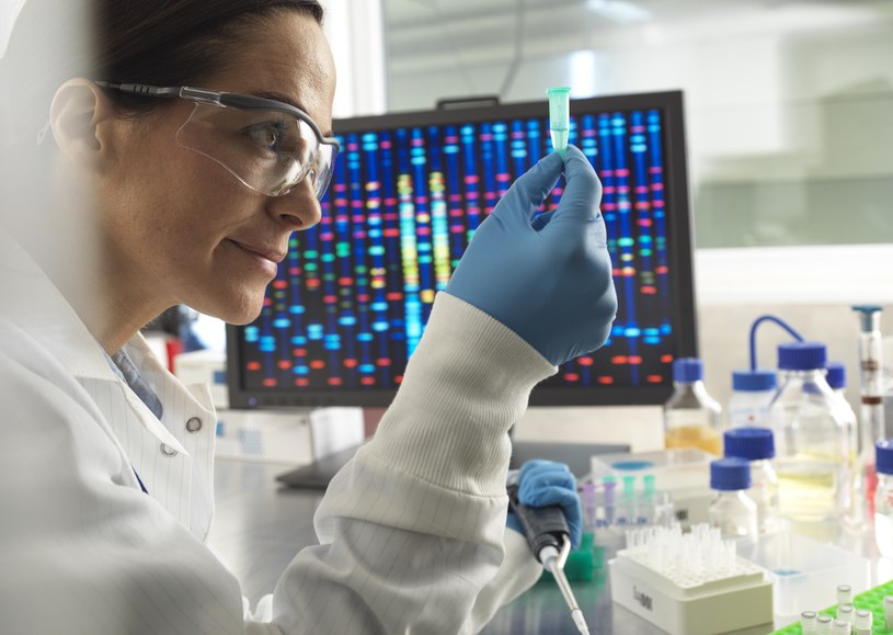 Badania genetyczne mogą pomóc w profilaktyce antynowotworowej. /TEK IMAGE/SCIENCE PHOTO LIBRARY / ABO  /AFP