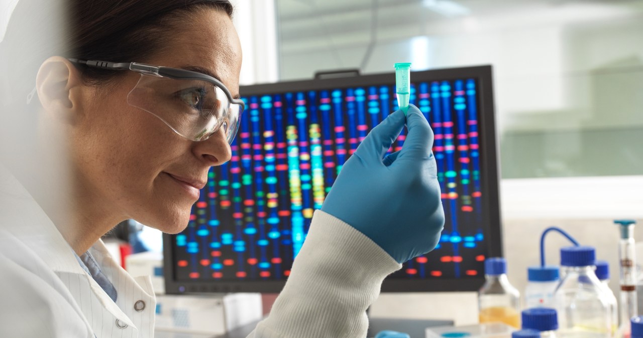 Badania genetyczne mogą pomóc w profilaktyce antynowotworowej. /TEK IMAGE/SCIENCE PHOTO LIBRARY / ABO  /AFP
