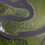 Badania kluczowej części Amazonii. Satelity i AI pokazały poważne zmiany
