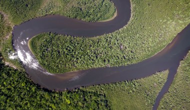 Badania kluczowej części Amazonii. Satelity i AI pokazały poważne zmiany