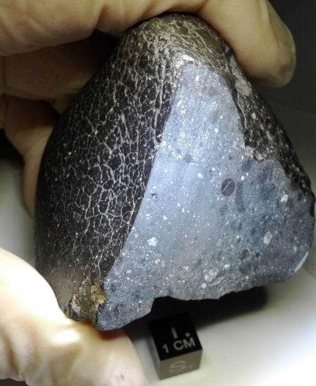 Badania marsjańskiego meteorytu pozwolą lepiej poznać historię Czerwonej Planety /NASA