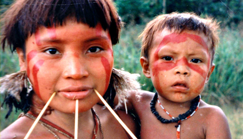 Badania na członkach plemienia Yanomami mogą potwierdzić przypuszczenia Whitlocka /materiały prasowe