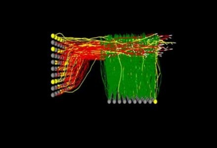 Badania nad neuronami z pomocą Nvidii /materiały prasowe