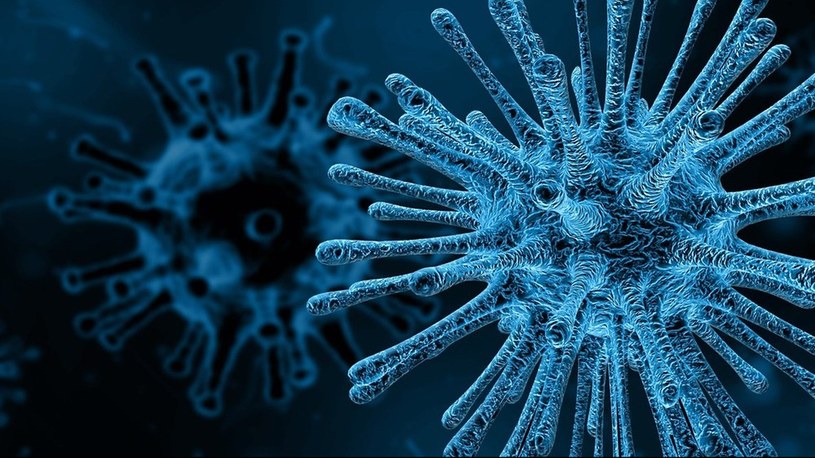 Badania pokazują, że 25 tysięcy lat temu też walczyliśmy z pandemią koronawirusa /Geekweek