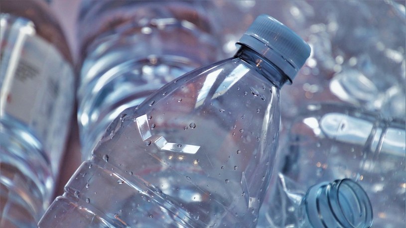 Badania sugerują, że bioplastik jest tak samo toksyczny jak tradycyjny /Geekweek