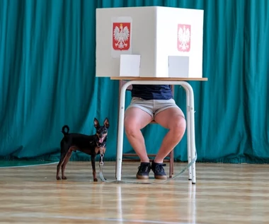 Badanie CBOS o wyborach prezydenckich. Ogromny wzrost znaczenia internetu